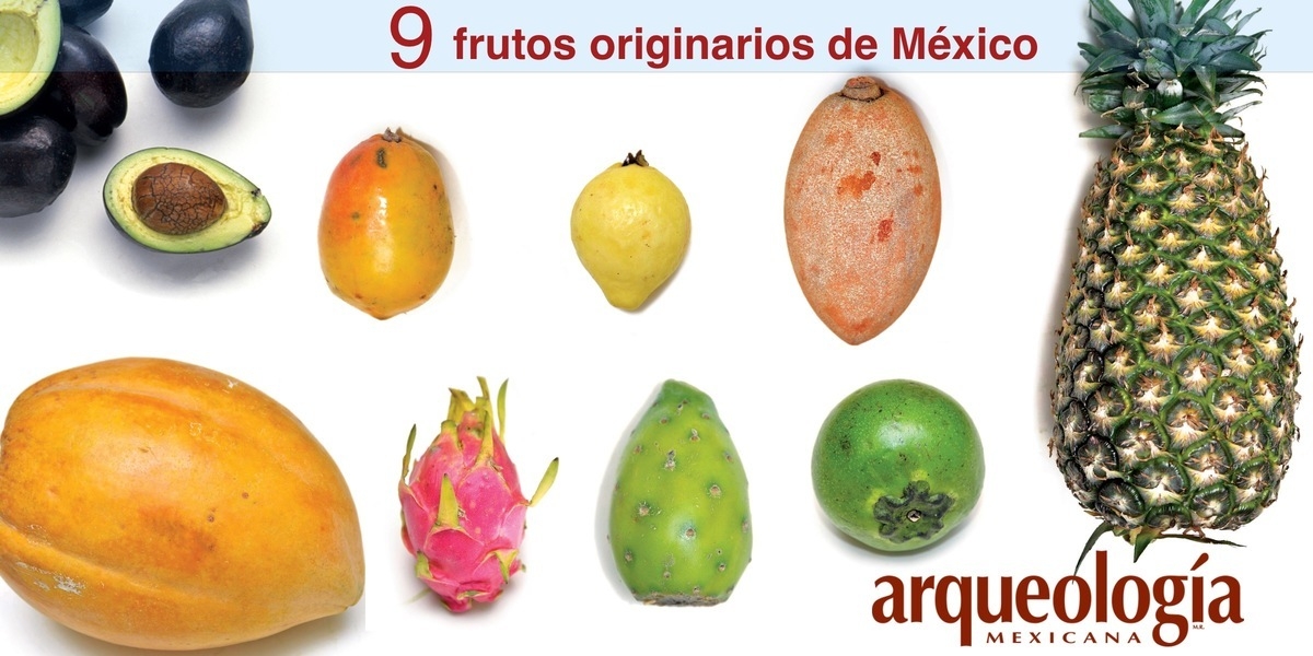 9 frutos originarios de México | Arqueología Mexicana