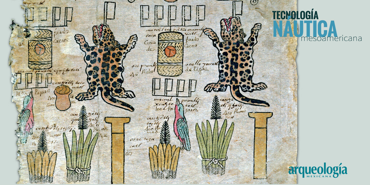 El Imperio mexica y la biodiversidad 