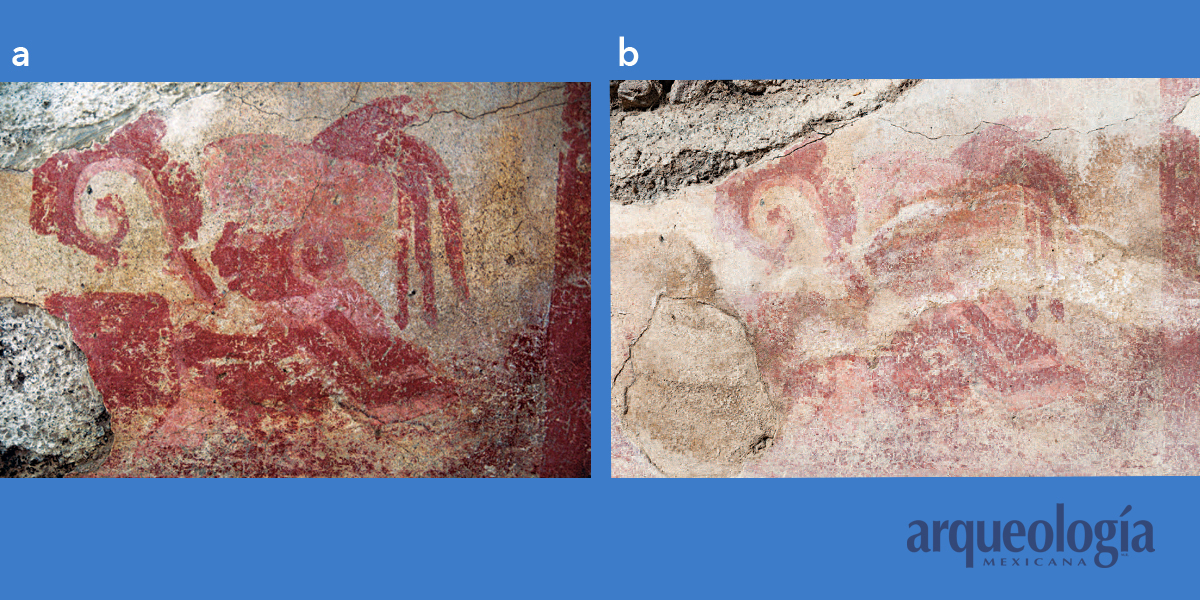La fotografía y los murales prehispánicos