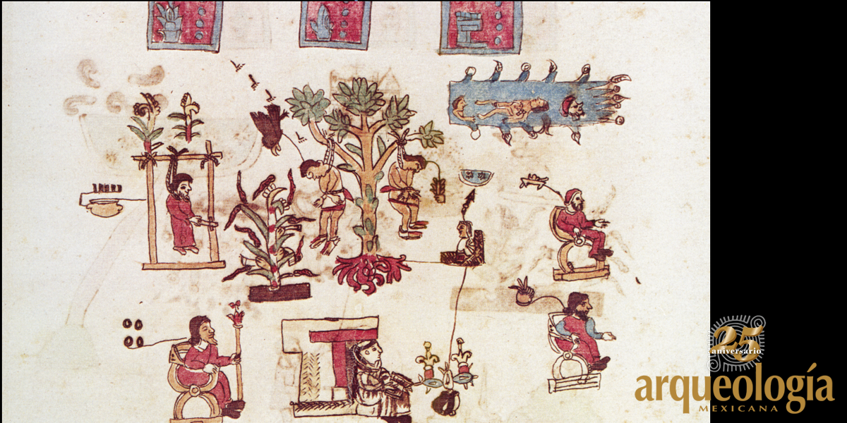 La Casa Real de Tenochtitlan. Cuauhtémoc