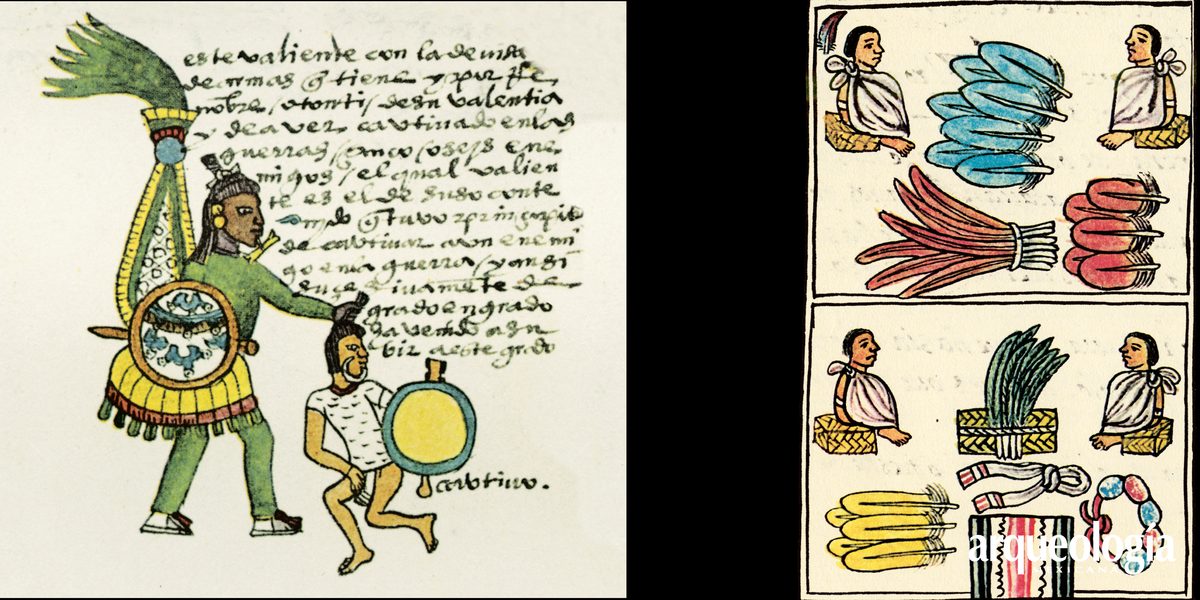 Adquisición y circulación de las plumas durante el Posclásico. Las plumas en el imperio mexica, de Ahuítzotl a Moctezuma