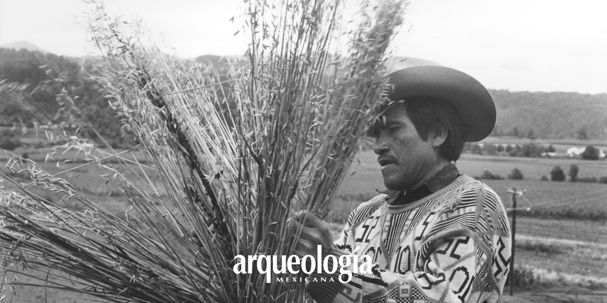 Los grupos indígenas del valle de Toluca
