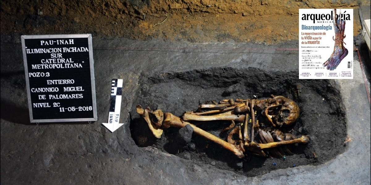 La tumba del canónigo Miguel de Palomares. Miembro del primer Cabildo eclesiástico de México | Arqueología Mexicana La tumba del canónigo Miguel de Palomares. Miembro del primer Cabildo eclesiástico de México | Arqueología Mexicana