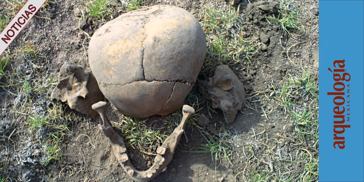 Cráneo bilobular en El Cóporo, Guanajuato