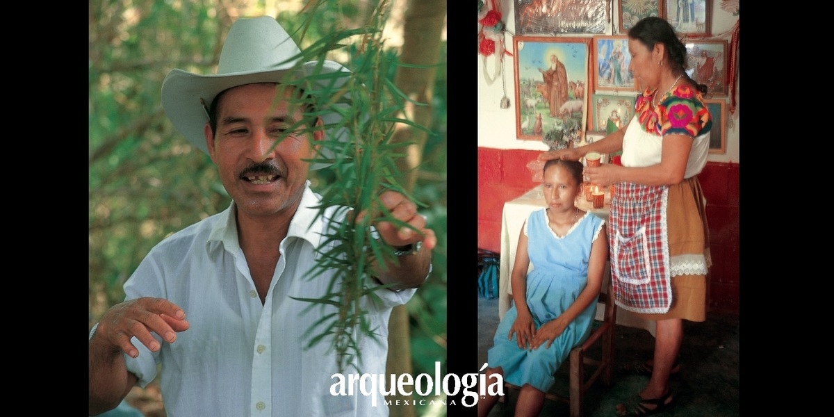Los curanderos y la flora medicinal de Hidalgo 