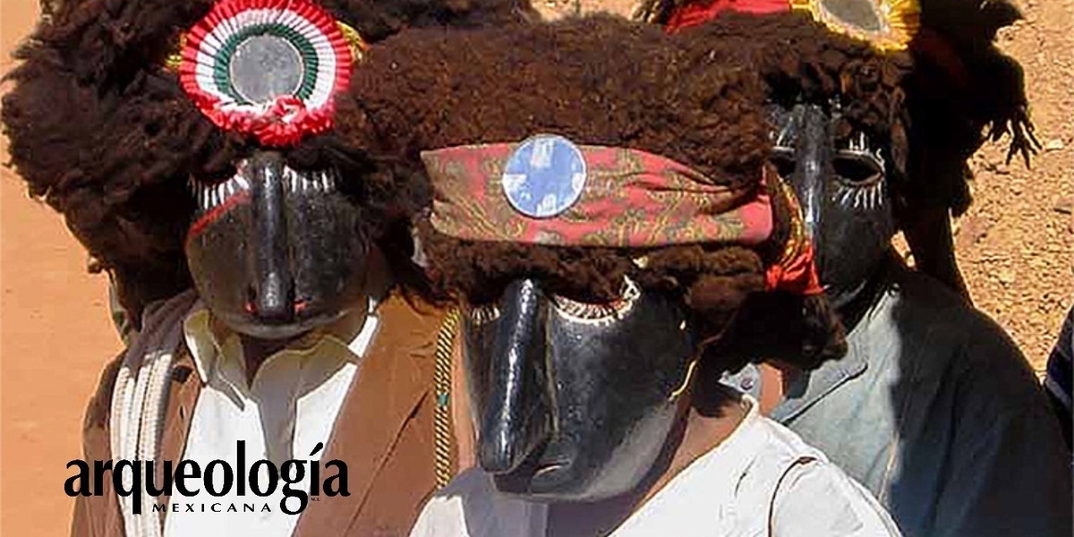 Fiestas y danzas en la Montaña de Guerrero. Tradiciones culturales mè’phàà en Colombia de Guadalupe, 
