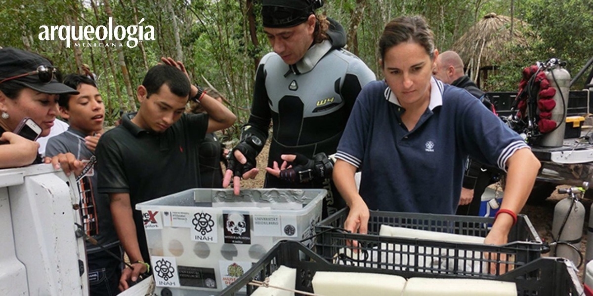 Se descubre un nuevo género y especie de perezoso gigante en un cenote de Quintana Roo