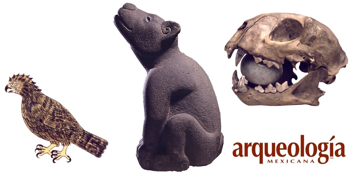 Los animales en el mundo prehispánico
