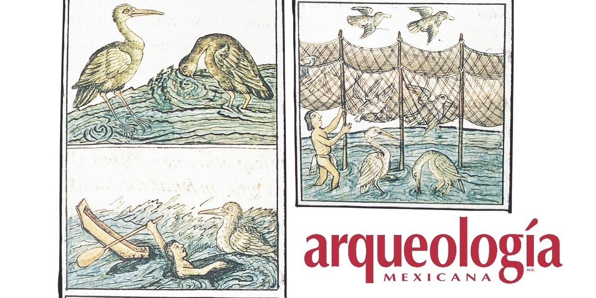 Recursos acuáticos en la subsistencia azteca cazadores, pescadores y recolectores