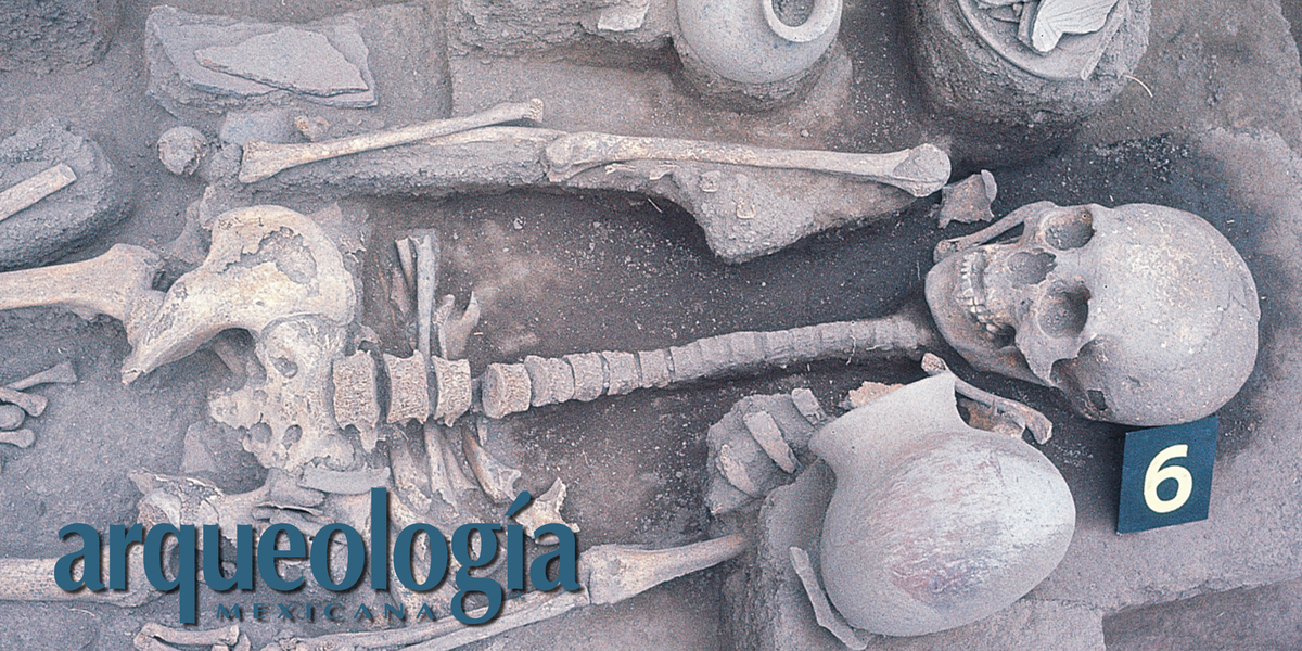 Arqueologia Y Antropologia Fisica Arqueologia Mexicana