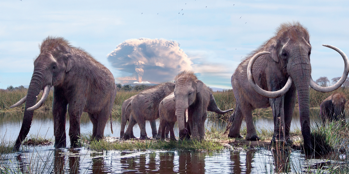 El mamut, icónico animal del Pleistoceno Final