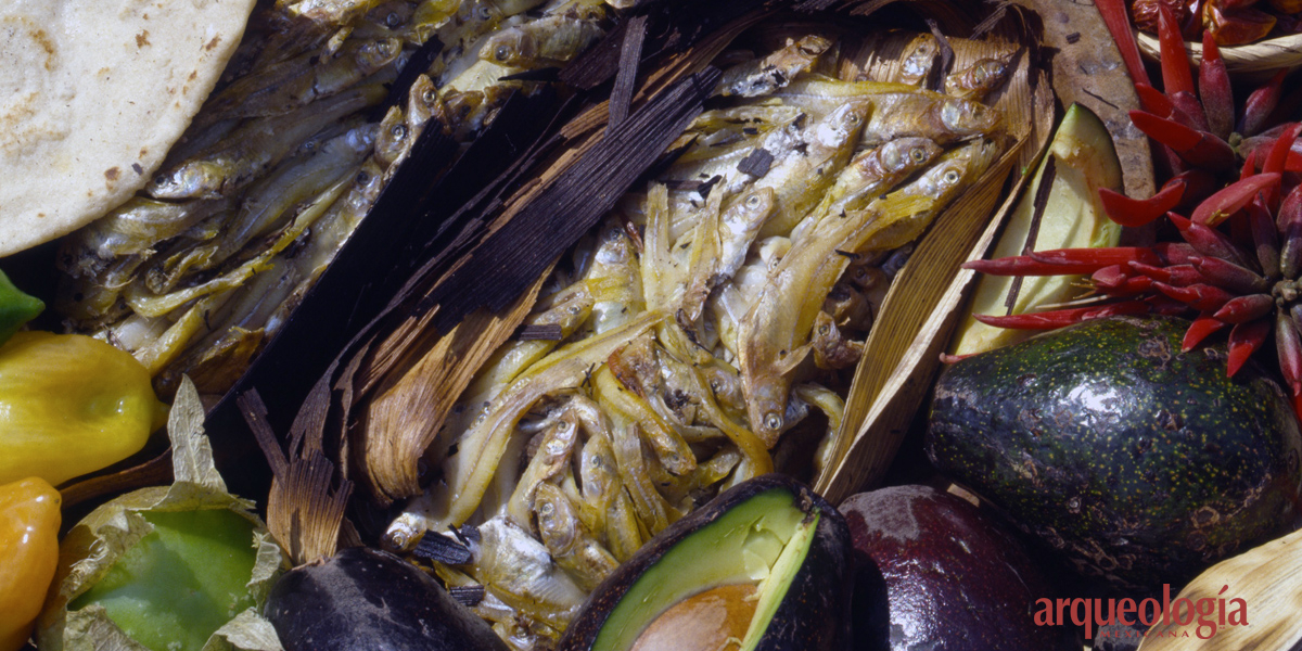 La comida teotihuacana Arqueología Mexicana La comida teotihuacana Arqueología Mexicana