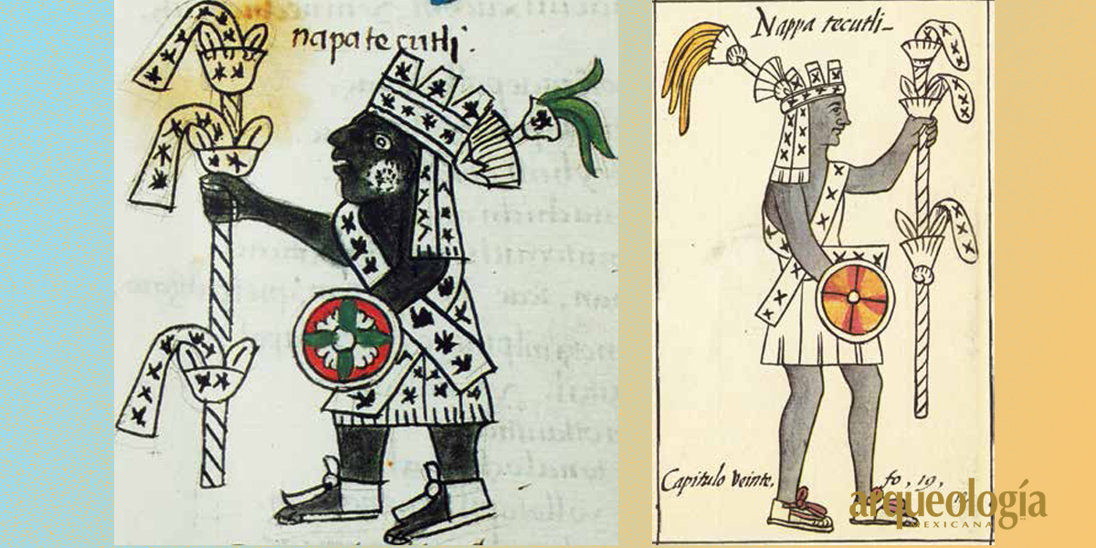 Nappatecuhtli | Arqueología Mexicana