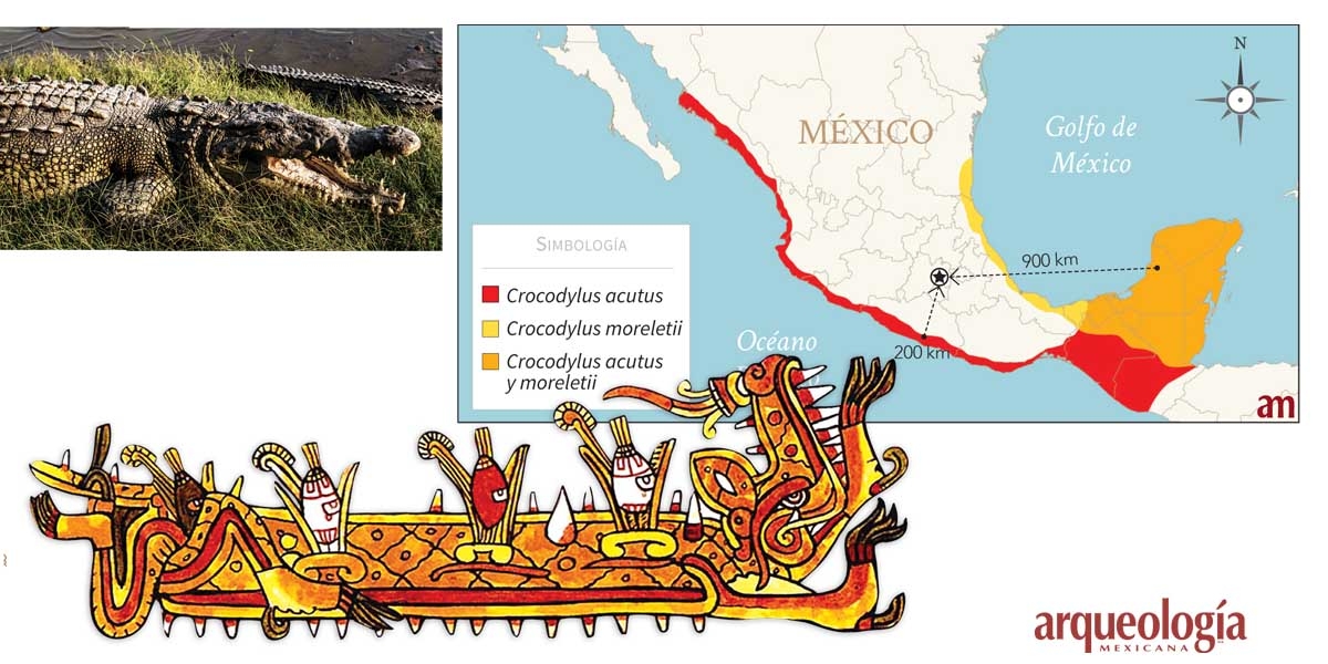 Cocodrilos traídos a Tenochtitlan