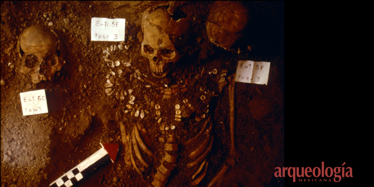 El Templo De Quetzalcoatl Parte Iv Y Ultima Arqueologia Mexicana El Templo De Quetzalcoatl Parte Iv Y Ultima Arqueologia Mexicana