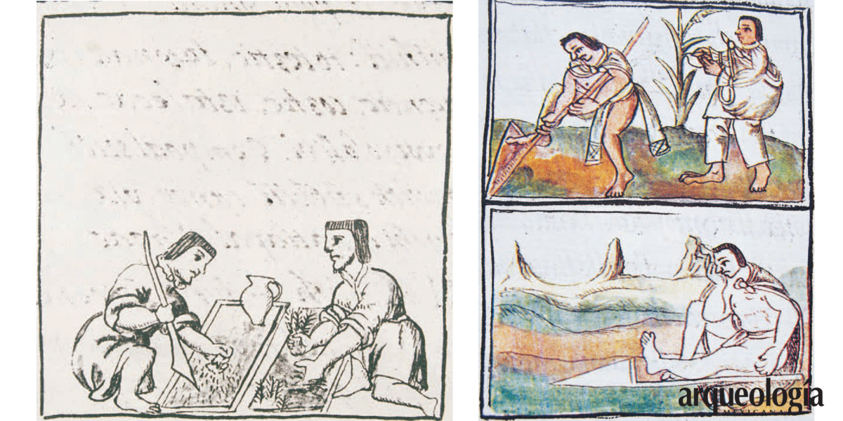 Instrumentos agrícolas e irrigación en Mesoamérica