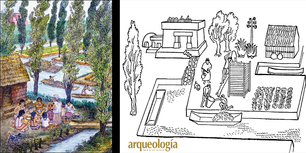 La Casa Arqueologia Mexicana