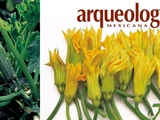 Las flores de la calabaza | Arqueología Mexicana image of Las flores de la calabaza | Arqueología Mexicana