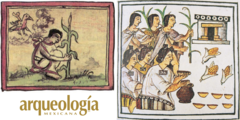 Los Ciclos De Regadío Y Temporal | Arqueología Mexicana