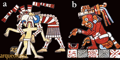 Códices prehispánicos y coloniales tempranos