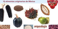 De México al mundo: 10 alimentos básicos