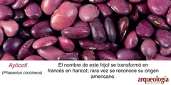 De México al mundo: 10 alimentos básicos