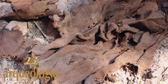La guacamaya momificada  de Cueva de Avendaños,  Chihuahua  
