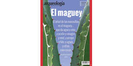 E57. El maguey