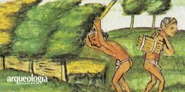 Tipos de vegetación presentes en Teotihuacan