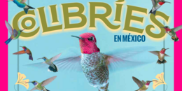 arqueomexE120_portada