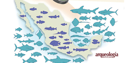 Diversidad íctica de México