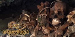 La guacamaya momificada  de Cueva de Avendaños,  Chihuahua  