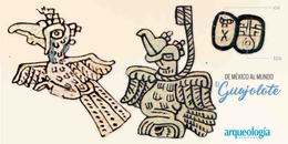 El pavo ocelado y los mayas