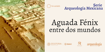 Aguada Fénix: entre dos mundos