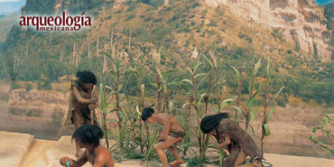 La paleogenómica y el estudio de la domesticación de plantas mesoamericanas