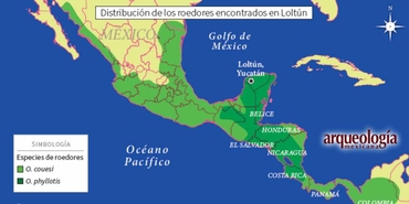 Estudios zoológicos y ADN antiguo: roedores en el contexto evolutivo