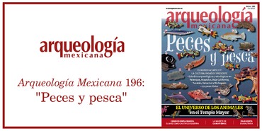 Las imágenes de la portada a fondo...