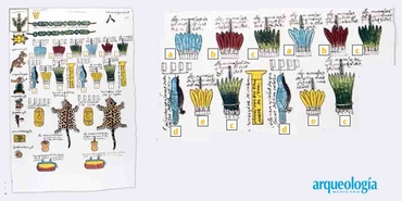 Cómo llegaban las plumas a Tenochtitlan