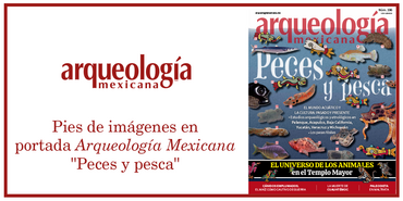 Pies de imágenes en portada "Peces y pesca"