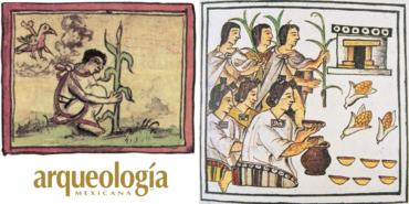 Los ciclos de regadío y temporal