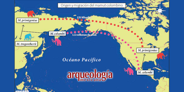 Mamuts de la Cuenca de México: una visión desde el DNA antiguo