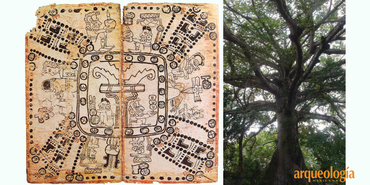 La concepción maya del cosmos