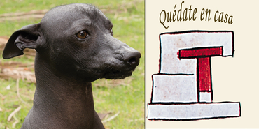 El carácter sagrado del xoloitzcuintli entre los nahuas y los mayas