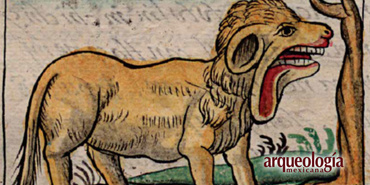 El tlacaxólotl: ¿tapir o animal fantástico?