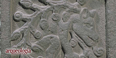 El ahuítzotl: ¿mensajero de los dioses, ejecutor o dueño del agua?