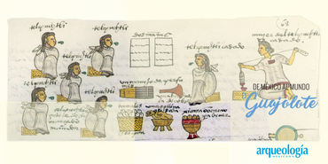 El guajolote, alimento de tlatohque y pipiltin