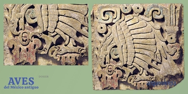 Las aves en el arte mesoamericano