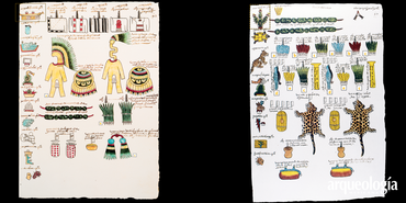 Adquisición y circulación de las plumas durante el Posclásico. Las plumas en el imperio mexica, de Ahuítzotl a Moctezuma