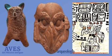 El búho y el zopilote entre los mayas