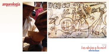 Abejas nativas y cosmovisión